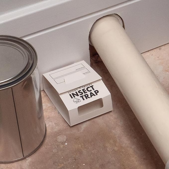 S&T INC. Insect Traps, 60 Count, Glue Traps for Brown Recluse, Hobo Spiders, Black Widows, Use in Home, Basement or Garage, or Utility Rooms for Pest Control