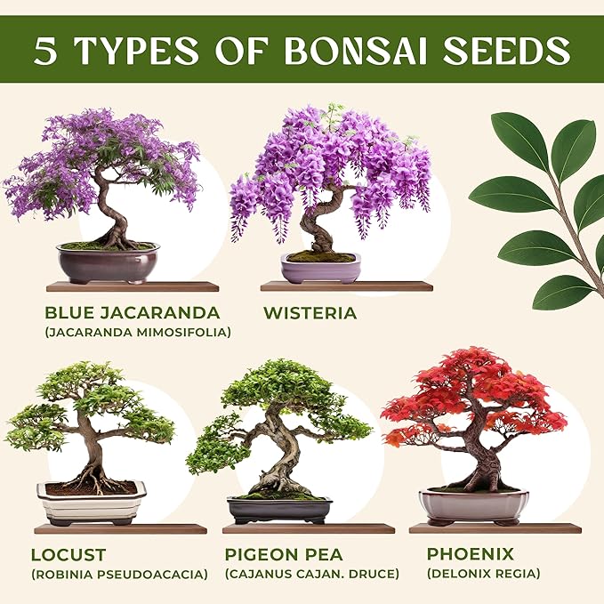 Bonsai Tree Kit for Beginners – 5X Unique Japanese Bonzai Trees | Complete Indoor Starter Kit for Growing Plants with Bonsai Seeds, Tools & Planters – Gardening Gifts for Women & Men