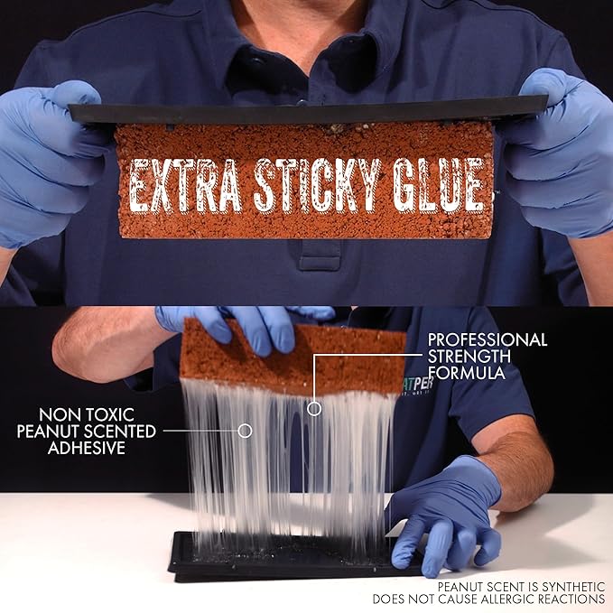 Glue Traps for Mice,Rat,Mouse,Snake,Lizard,Insect. 10 Pack. Extra Strength,Pre-Baited Adhesive.Heavy Duty Plastic Tray.Non-Toxic,Chemical-Free Pest Control for Home. 10Pack