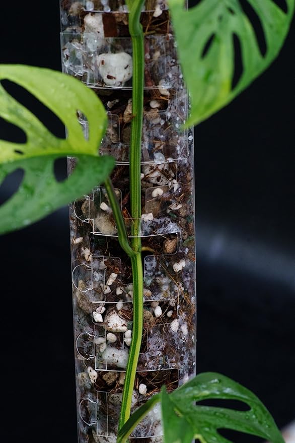 V3 Medium GrowPole - Front Opening, Stackable Plastic Moss Poles for Climbing Plants, Monstera Plant Support-Plant Climbing Pole, DIY Plant Support, Works for Philodendron & Anthuriums - 5 Pcs