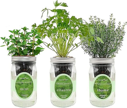 Hydroponic Growing Kit Set, Self-Watering Mason Jar Herb Garden Starter Kit Indoor, Window Herb Garden, Grow Your Own Herbs from Organic Seeds (Mint, Cilantro and Thyme)
