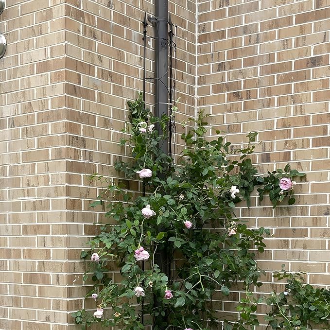 Garden Trellis 2 Pack 72'' H x 12'' W Metal Plant Trellis Indoor/Outdoor Metal Garden Trellis Plant Trellis for Potted Plants Climbing Houseplants Flowers