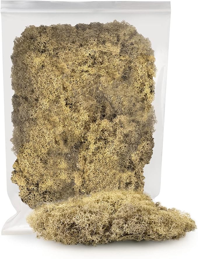 Premium Preserved Reindeer Moss for Potted Plants, Terrariums, Fairy Gardens, Arts and Crafts or Floral Decor Design in Natural (1 Quart Bag)