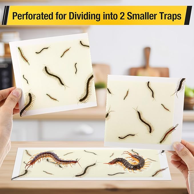 Qualirey Centipede Extra Large Glue Traps 20Pcs(Tear Into 40Pcs),11’’ x 5.3’’ Centipede Glue Boards Indoor Outdoor, Adhesive Insect Catcher for Home, Sticky & Non Toxic Traps for Home, Garage & Shed