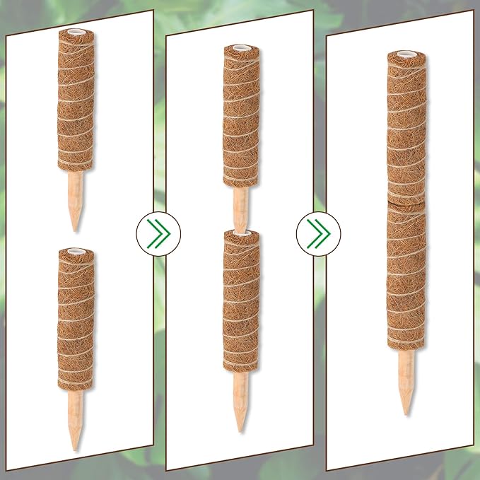 Augshy Moss Pole - 20 Inch Coir Totem for Monstera Climbing Indoor Creepers Plant Support Extension (2 Pieces, 12 Inch Each)