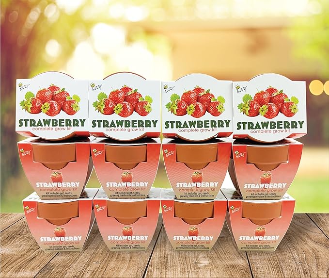 BUZZY Seeds Terracotta Mini Grow Pots | Herb, Plant, Flower Starter Kit for Kids & Adults | Alpine Strawberry 12-Pack, Classic Collection | Guaranteed to Grow | Best Indoor-Outdoor Gardening Gift