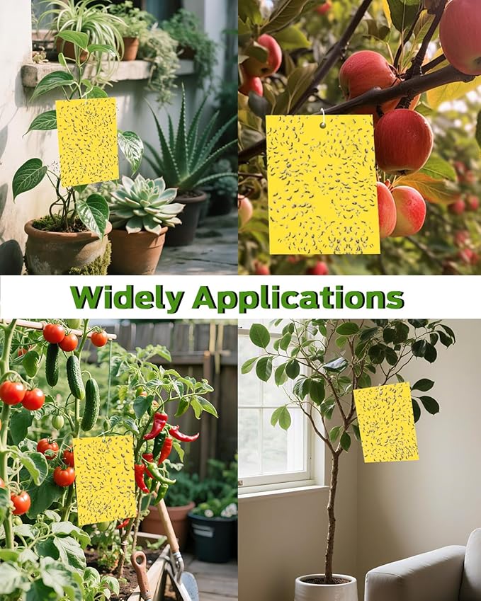 Plant Fly Sticky Trap Sticks, Sticky Gnat Traps for Indoor Plants, with Kids Gardening Gloves, 25PCS, Non-Toxic, Odorless, Harmless to Vegetables, Fruits, Plants