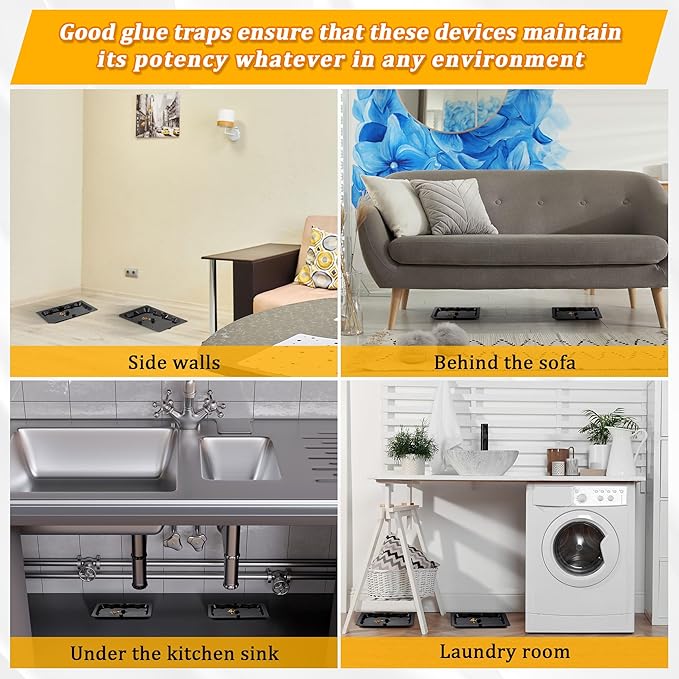 Qualirey 36 Pack Mouse and Insect Glue Traps, Strong Sticky Mice Traps Indoor for Home, Pre Scented Rodent Pads with Non Toxic Glue for House Garage, Ready to Use, Safe to Children and Pets (Black)