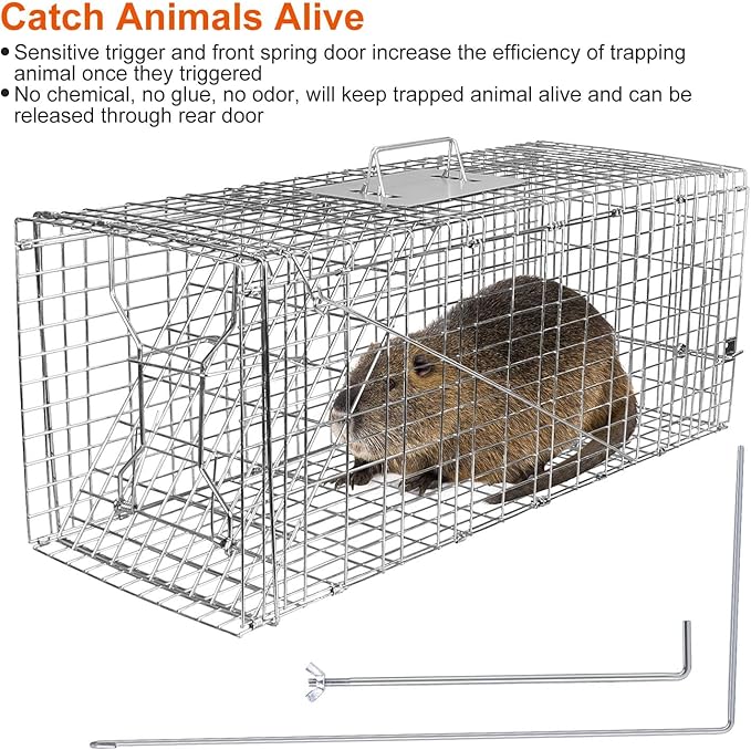 iMounTEK Humane Live Animal TrapLarge Humane Cat Trap Catch Release Animal Rodent Cage Collapsible Galvanized Wire for Small Raccoons Beavers Groundhogs Foxes Armadillos