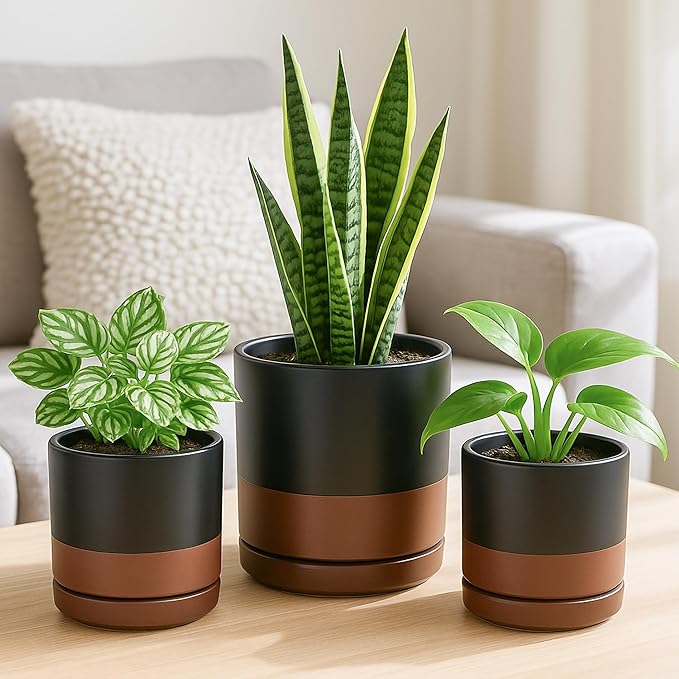 D'vine Dev 4 Inch & 6 Inch & 8 Inch, Set of 3 Round Ceramic Planter Pot with Drainage Hole and Saucer, Black/Speckled Tan, 94-T-M-7