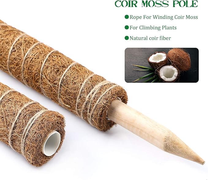 Augshy Moss Pole - 20 Inch Coir Totem for Monstera Climbing Indoor Creepers Plant Support Extension (2 Pieces, 12 Inch Each)