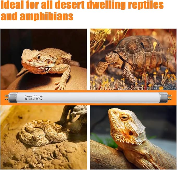 T5 10.0 UVB Reptile Light Bulb 8W 12 Inch, Desert Reptile UVB Bulb 8 Watt for Lizards, Bearded Dragons, Chameleons, Turtles, Tortoises 3 Pack