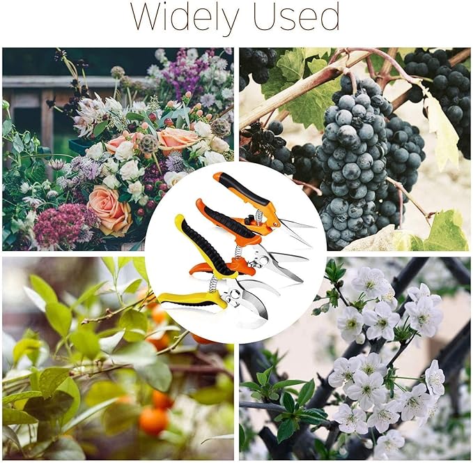 3 Pack Garden Pruning Shears Stainless Steel Blades Handheld Pruners Set with Gardening Gloves