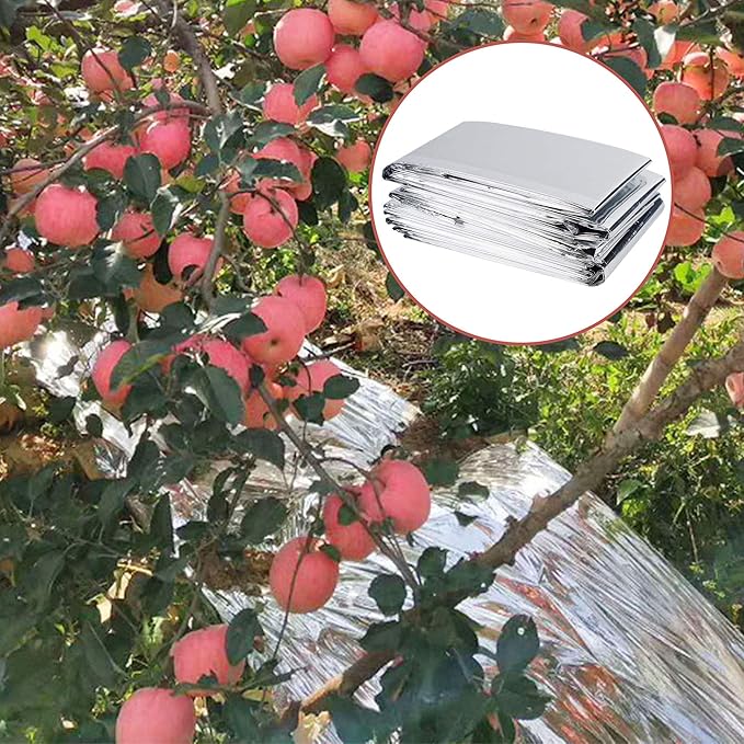 winemana 6 Pack Large High Silver Reflective Mylar Film, 83x 63 in, High Reflectivity, Keep Warm, 100% Environmentally Safe, Perfect for Plant Growth, First Aid, Marathon, Camping, Outdoor Survival