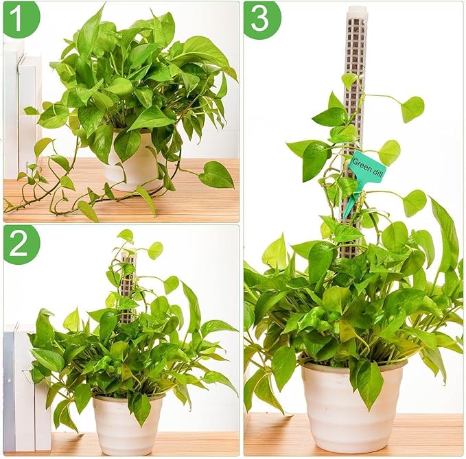 10 Set Plastic Moss Poles for Climbing Plants Indoor Stackable Self Watering Hollow Monstera Plant Support, Moss Not Included(White)