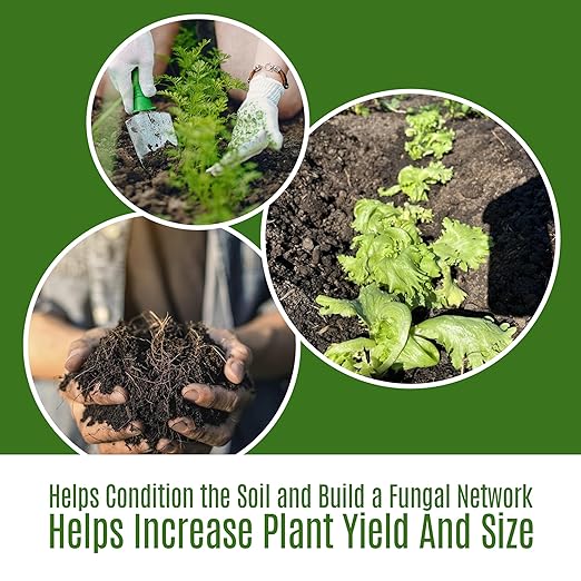 Elm Dirt Worm Castings for Plants - Worm Castings Organic Fertilizer | 100% Organic Plant Food for Houseplants, Gardening, Shrubs & Bushes, Root Growth and Micro Nutrients - Earthworm Casting, 2 lbs