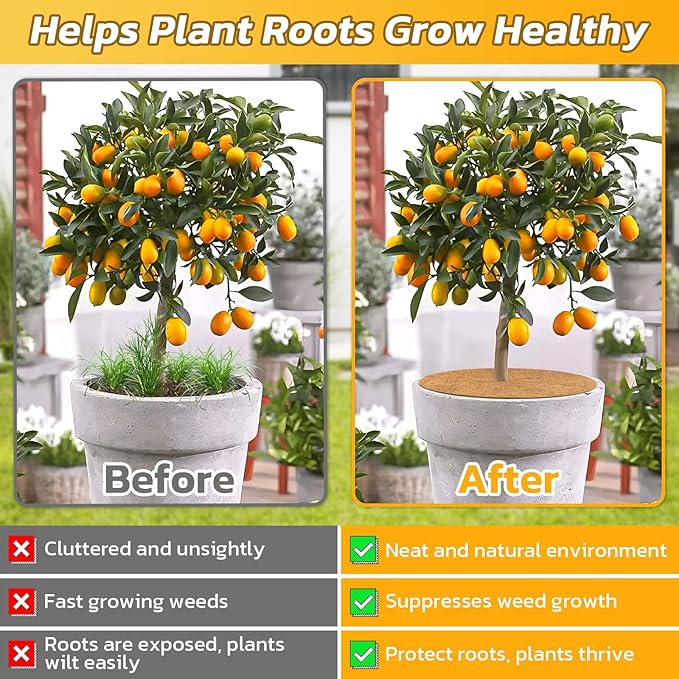 Legigo 6pcs Coconut Fiber Mulch Ring Tree Plant Protector Mat, 24 Inch Natural Coco Coir Tree Protection Ring Plant Pot Soil Cover, Tree Rings Disc Plant Cover for Indoor Outdoor Plants,Landscaping