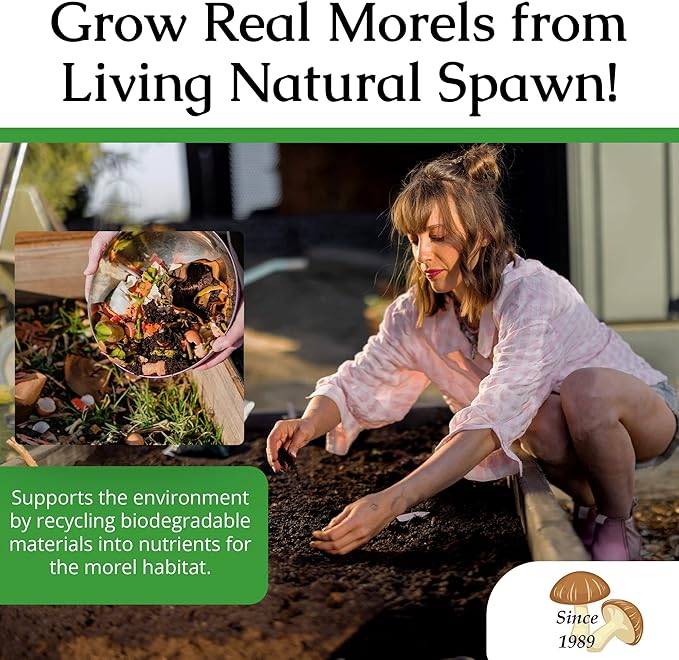 MOREL HABITAT KIT® Morel Mushroom Growing Kit (Morchella esculenta), Compatible with Any Soil Type Across The U.S., Outdoor Garden & Backyard Cultivation Set with Full Instructions - Made in The USA