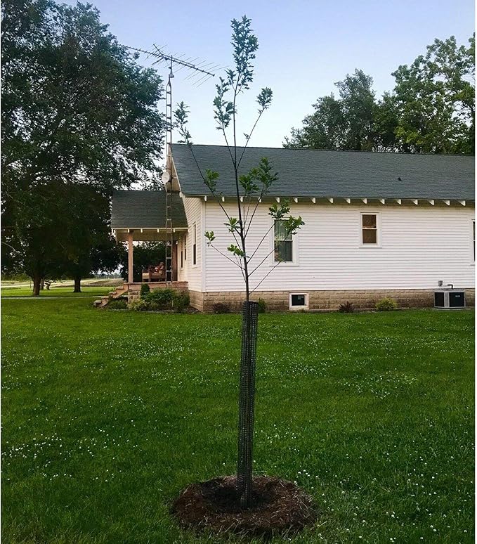 Mesh Tree Bark Protector Guard 48 Inches Tall (5 Pack) Heavy Duty with Zip-Ties, Tree Trunk Protectors from Trimmers, Tree Guard, Tree Protector for Saplings and Fruit Trees