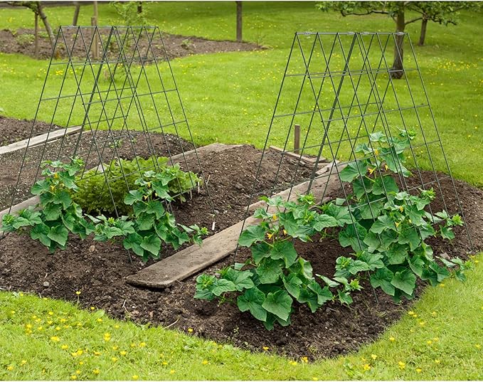 AGTEK 2 Packs 18" x 46" Foldable Cucumber Trellis with Zip Ties Plant Support A Frame Metal Trellis for Cucumber, Climbing Plants, Vegetable Flowers