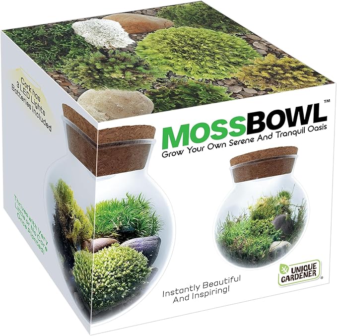 Create Your Serene Moss Sanctuary with The Unique Gardener Moss Bowl Terrarium Kit with LED Light - Complete Terrarium Supplies, Indoor Plants for Stress Relief & Air Purification!