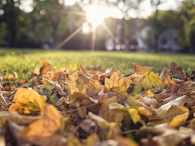 GARDENA (03565) Lawn and Leaf Collector, Durable and Easy to Manuever Push Lawn and Leaf Sweeper with Large Capacity 3.2 cu. ft. Mesh Collection Hopper Bag, 5 Year Warranty