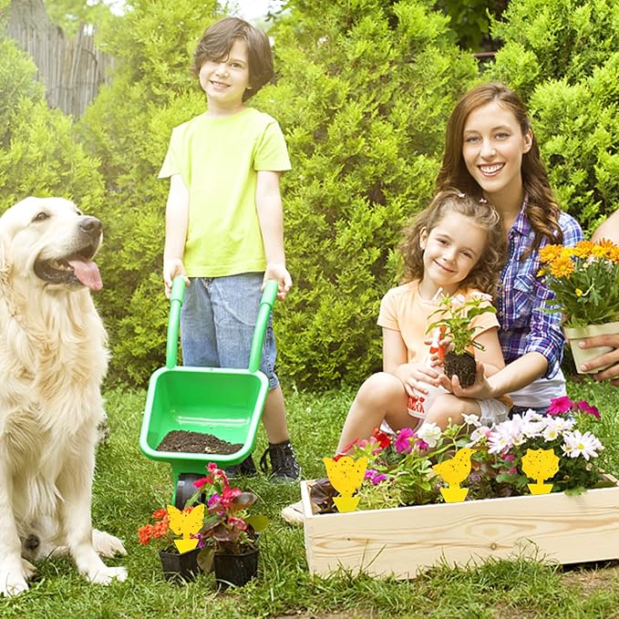 36 Pcs Combo Sticky Traps for Fungus Gnat (Plants), Flying Insect, Whitefly and Fly, Yellow Sticky Insect Catcher Traps for Indoor/Outdoor, Kitchen, and Plants, High-End Glue, Non-Toxic, 5 Shapes