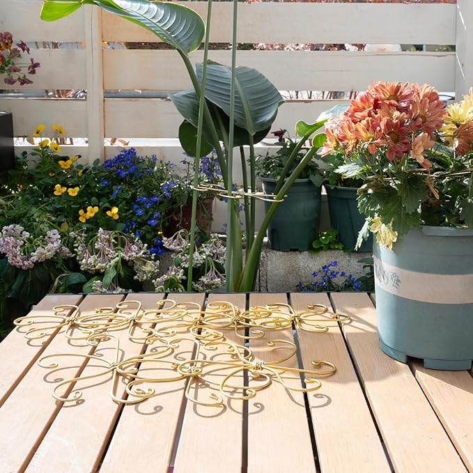 5PCS Monstera Plant Stem Support Hook - 6.5 * 6.5IN Durable Metal Stem Stabilizer for Monstera Plants and Fishbone Cactus - Gentle Protection Leaf Holder - Easy Installation - 5 Piece Set