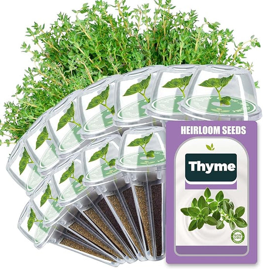 Thyme Seed Pods for All Hydroponics Growing Systems, 12 Pods Herb Kit with 1800+ Seeds of Thyme, Grow Your Own Herb Garden at Home