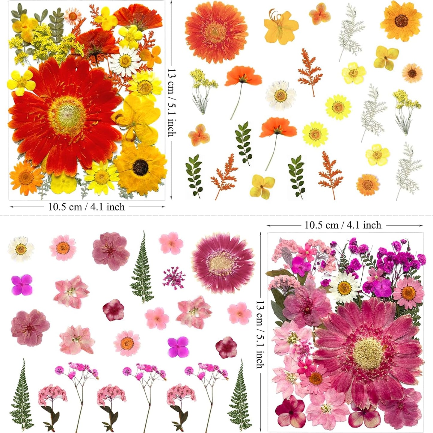 106Pcs Big Dried Pressed Flowers for Resin, Assorted Real Natural Bulk Dry Floral Leaves for DIY Art Crafts, Epoxy Molds, Jewelry, Soap, Candle Making, Nails Decors