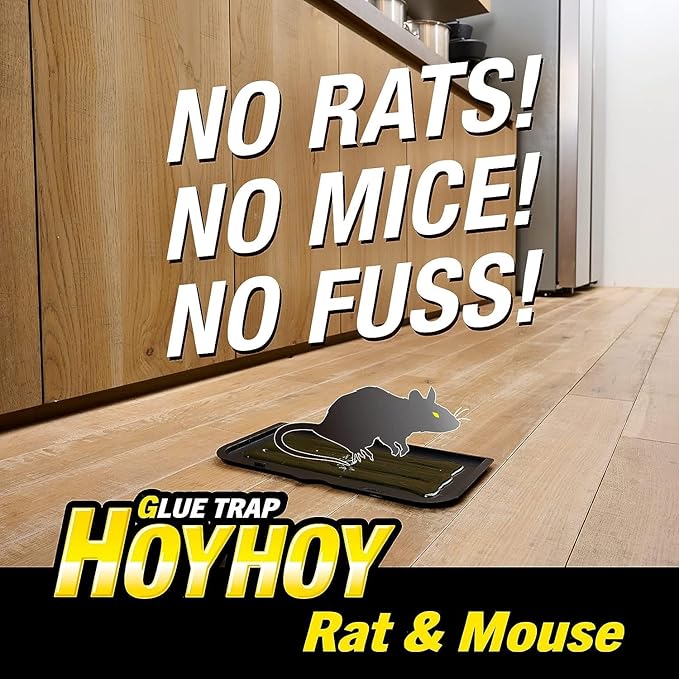 HOY HOY Regular Size Rat & Mouse Indoor/Outdoor Glue Trap (4 Pack)