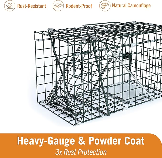 HOMESTEAD Collapsible Live Trap 14in – Small Animal Trap Cage for Red Squirrels, Adult Rats, and Small Weasels with 1″ Mesh Wire