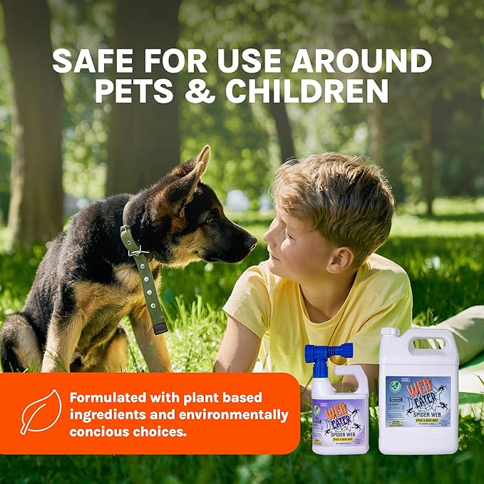 32 Oz Concentrated Spider Web Washaway Spray with Nozzle- Natural & Long Lasting up to 6 Months
