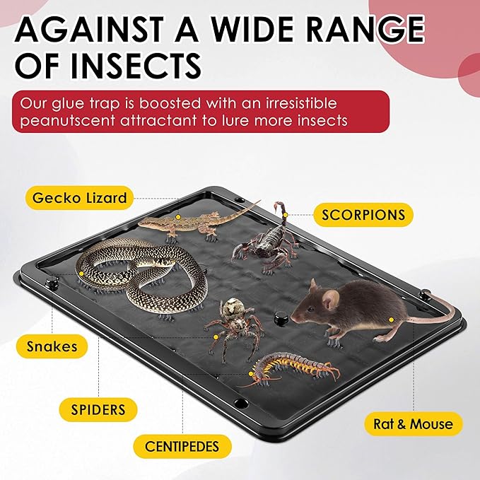 Qualirey Jumbo Rat & Mouse Glue Traps, 11.8 X 9.84 in Large Heavy Duty Mouse Traps Indoor for Home, Pre Scented Adhesive Plastic Tray with for Spider Trap, Snake, Mice, Children and Pet Safe(16 Pack)