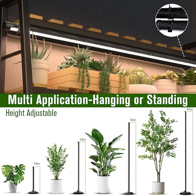 bedee LED Grow Light for Indoor Plants: 65 Inch Full Spectrum Plant Lights for Seed Starting with Timer and 10 Level Dimmable Standing Plant Growing Lamp for Greenhouse with Hanging Accessories