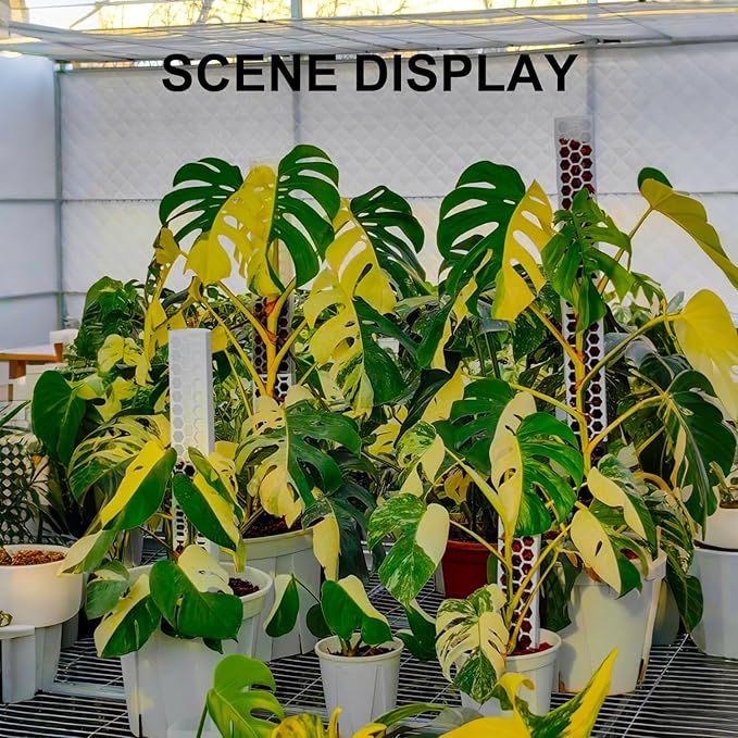 D Shape Sphagnum Moss Pole for Climbing Plants - 6 Pcs 17 Inch Plastic Stackable Plant Support, Designed for Monstera & Indoor Plants with Enhanced Stability