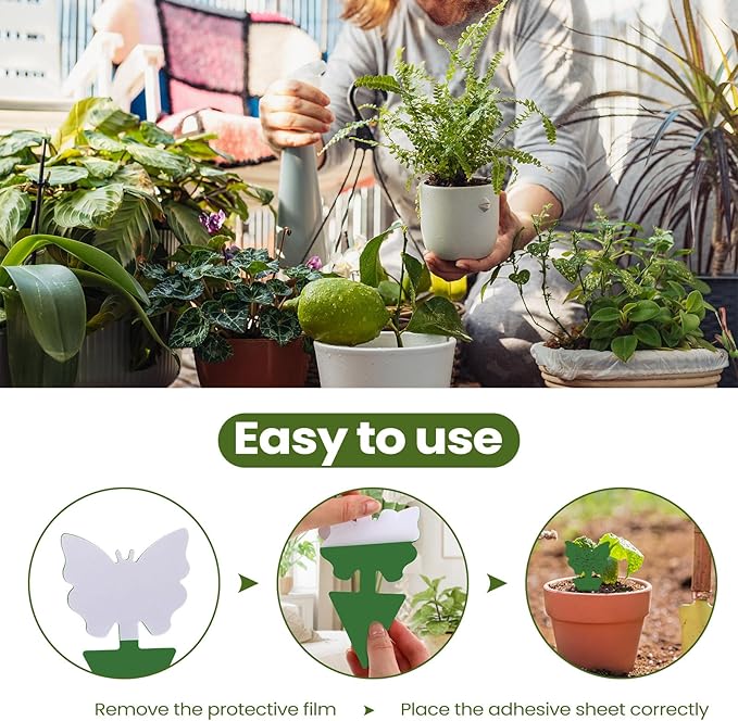 Qualirey 200 Sheets Fruit Fly Sticky Traps for Fruit Fly Gnat Trap for House Indoors Sticky Traps Catcher for Gnats Fungus Gnats Mosquito Catcher for Kitchen Outdoor Plants (Green)