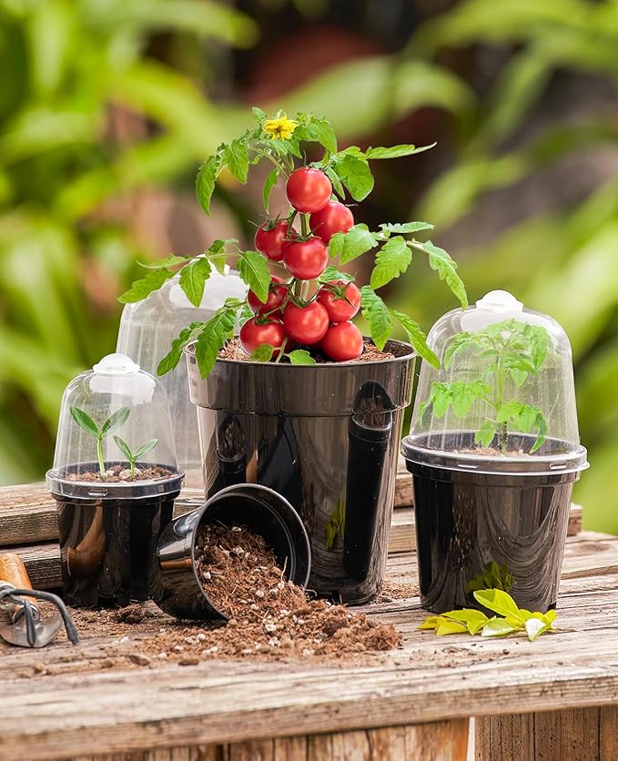 homenote Nursery Pots for Plants,3/4/5 Inch Plant Pot for Planting with Humidity Domes Plastic Seedling with Drainage Holes Seed Starter Flower with 10 Labels Black (15 Pack)