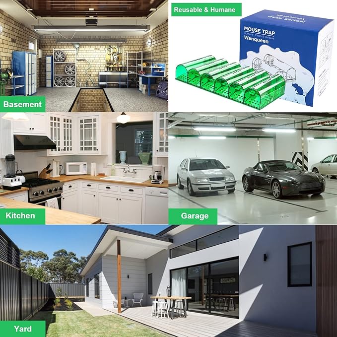 6 Pcs Humane Mouse Traps Indoor for Home, Live Mouse Trap, Reusable Mice Trap Catcher for House & Outdoors