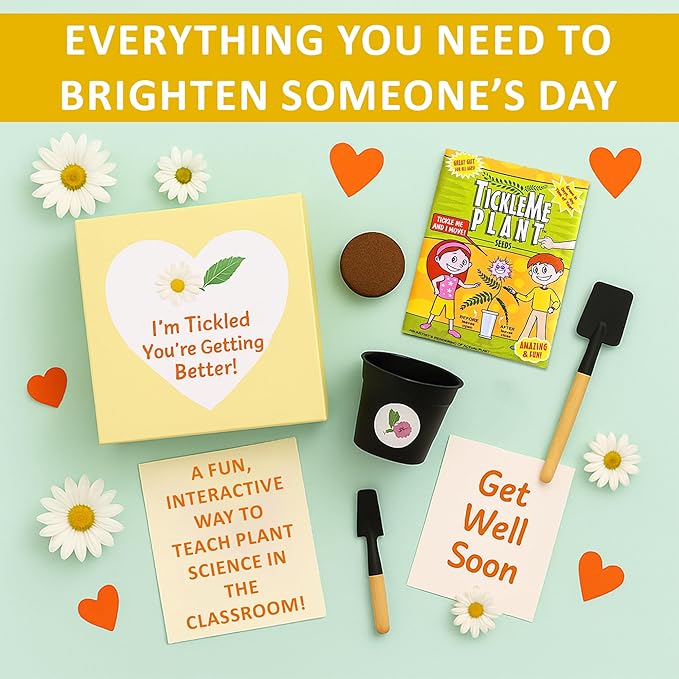 TickleMe Plant Get Well Soon Kit (1 Pack) – Grow A Tickle Me Plant That Reacts to Touch – Leaves Fold Up When You Tickle Them – Full Grow Kit of Sensitive Plants Seeds for Kids to Grow Indoors