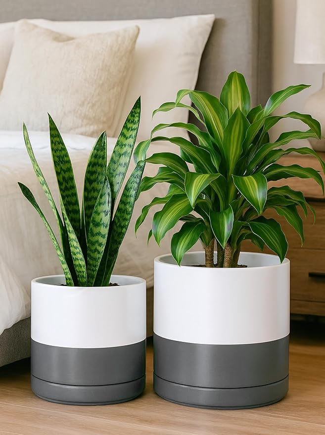 D'vine Dev 8.2 Inch & 10 Inch Ceramic Planter Pot for Plants with Drainage Hole and Saucer, Large Plant Pots Set, White/Speckled Grey, 94-G-L-6