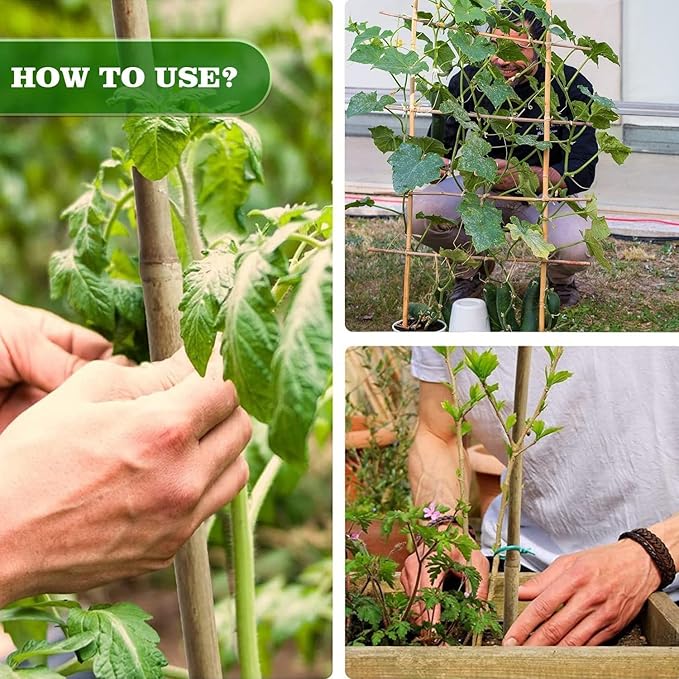 5/8" D 6 Feet Bamboo Stakes 50 Pack, Thicker Heavy-Duty Plant Stakes, Natural Garden Stakes for Bean, Tomato, Bean, Flowers,Trees Potted and Climbing Plant Support