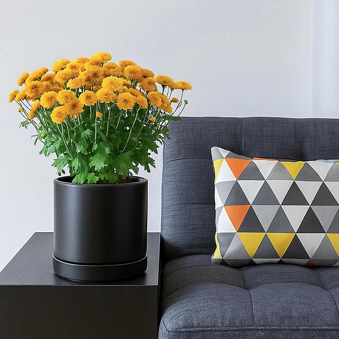 D'vine Dev Set of 2 Plants Pots, 6.5 Inch Ceramic Planter Pot for Plants with Drainage Hole and Saucer, Black, 94-V-C-2