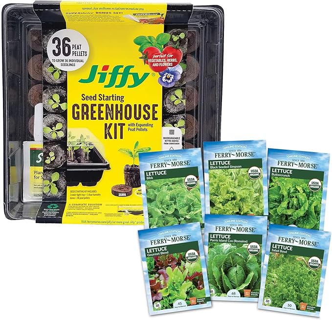 Jiffy Seed Starting Tray Kit, 36 Cell 36mm Peat Pellets, 2 Pack with Ferry-Morse Cold Hardy Organic Lettuce Seed Variety Pack