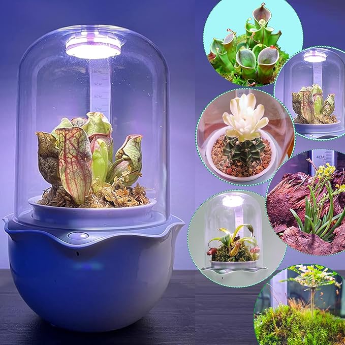Smart Venus Fly Trap Terrarium Pot with Timer&Fan,Succulent Planter with Grow Light,Indoor Plant Terrarium Kit for Carnivorous Plants,Sundew Moss,Cactus, for Dad (No Plant)