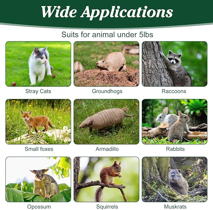 Humane Animal Trap, Foldable Medium Live Cage Traps for Cats Rabbits Racoons Beavers Groundhogs Foxes Armadillos and Other Live Animals, Easy to Catch and Release, Work for Indoor Outdoor