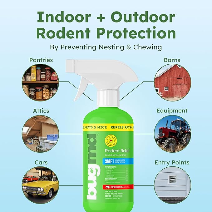 BugMD Peppermint Oil Spray for Rodents (2 Pack- 16oz) Mouse Repellent & Rodent Repellent Spray, Natural Mice Repellent with Cinnamon, Clove, and Rosemary Oils - Safe Indoor & Outdoor Use