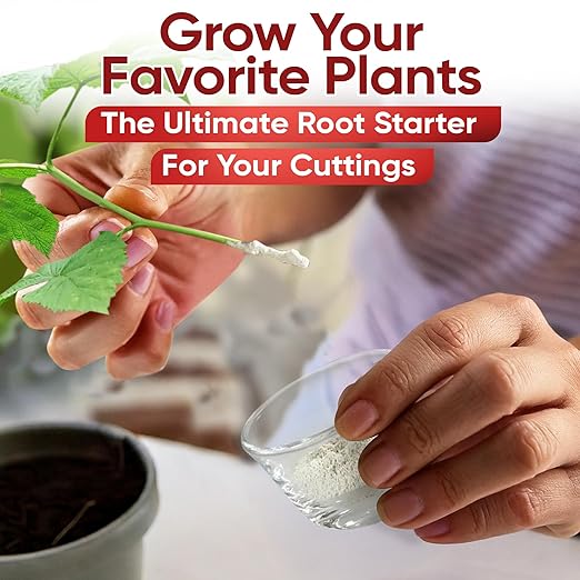 Hormex Rooting Powder Combo #1, 3, 8 (0.10-0.8 IBA) - Root Growth Hormone for Delicate and Common Houseplants to Semi-Hardwood, Medicinal Plants and Tree Cuttings - Root Stimulator for Plant Cloning