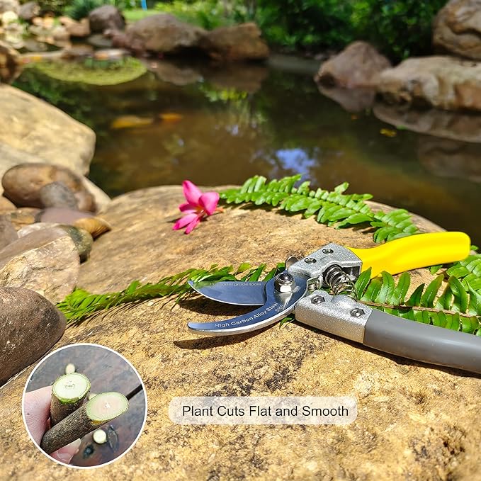 TONMA Bypass Pruning Shears for Gardening [Made in Japan] Professional 8" Sharp Garden Shears with Patent Lock, Heavy duty Japanese Secateurs, Pruning Scissors for Plant, Flowers, Bonsai, Tree