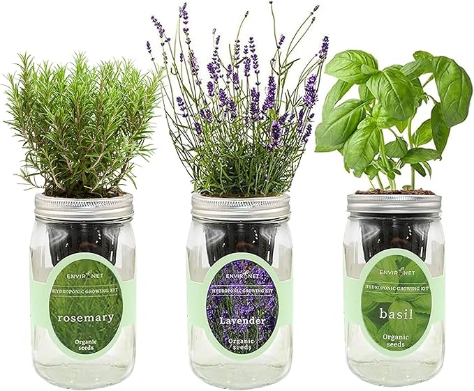 Hydroponic Herb Growing Kit Set, Self-Watering Mason Jar Herb Garden Starter Kit Indoor, Grow Your Own Herbs from Seeds (Lavender, Rosemary & Basil)